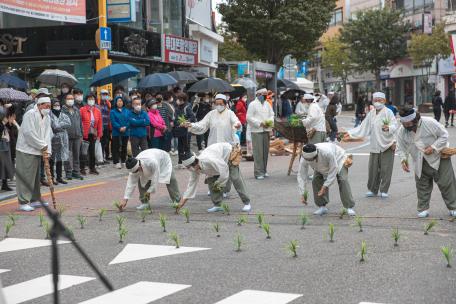 [제 57회 설악문화제] 3일차 현장스케치 : 프린지공연