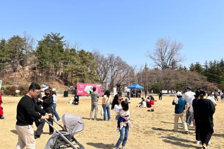 영랑호 벚꽃축제와 함께하는 '속초문화버스킹' 4회~6회 4.7.(일)